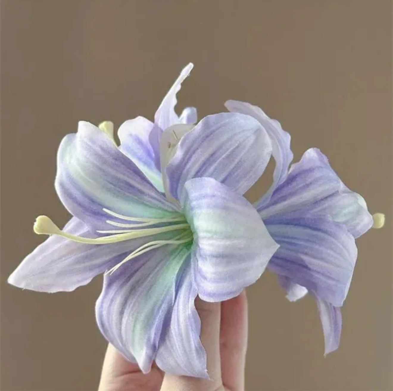 Lily Rush (Claw Clips)